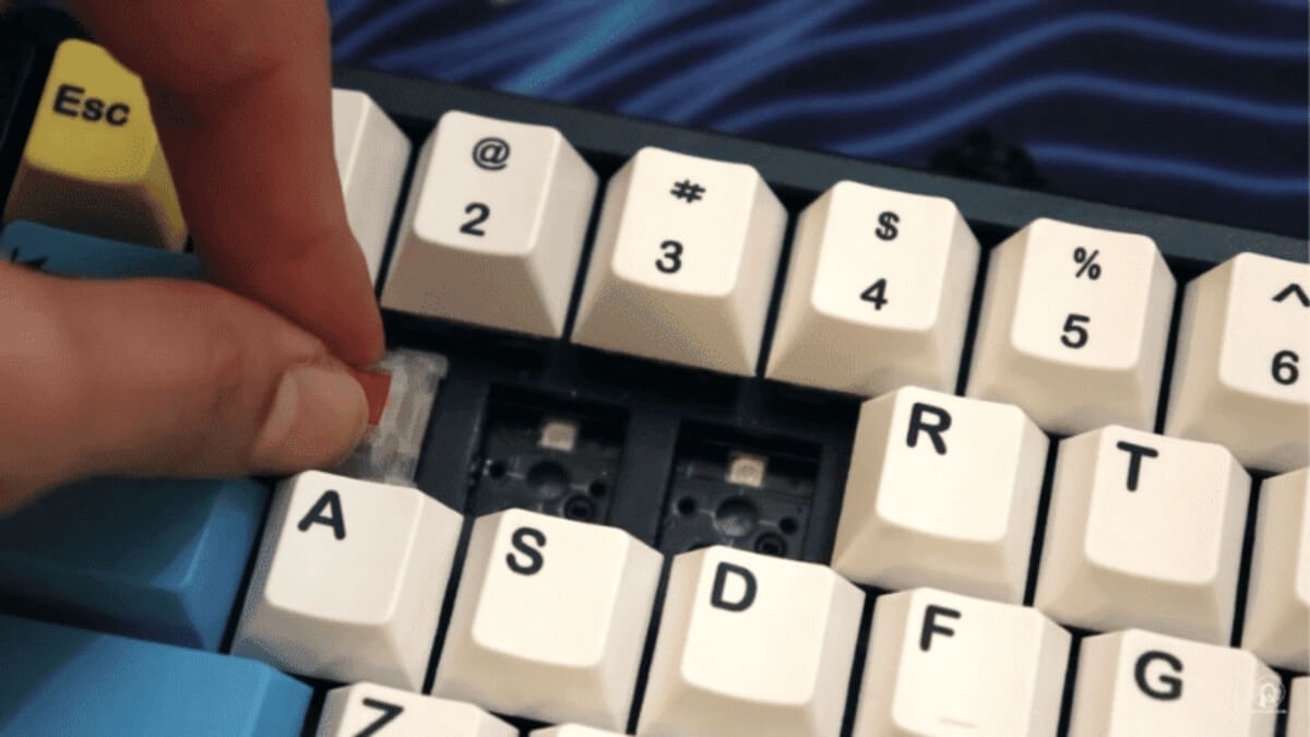 Cách thay switch bàn phím cơ tại nhà cho người mới