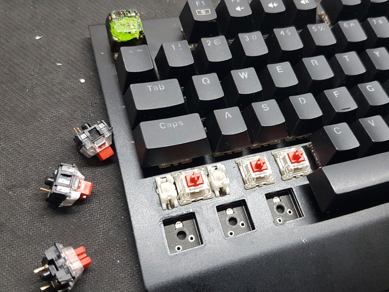Cách thay switch bàn phím cơ tại nhà cho người mới