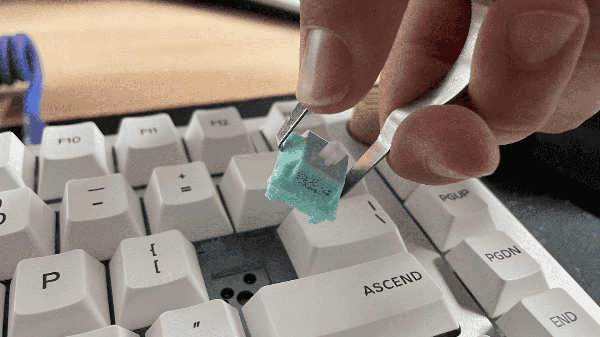 Cách thay switch bàn phím cơ tại nhà cho người mới