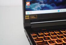 Acer anh 1