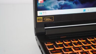 Acer anh 1